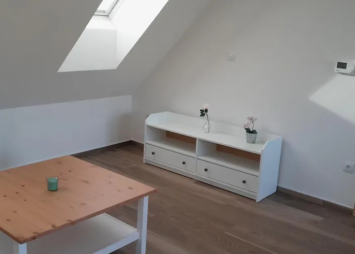 U Stepana Appartement Litohor